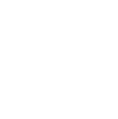 BSI